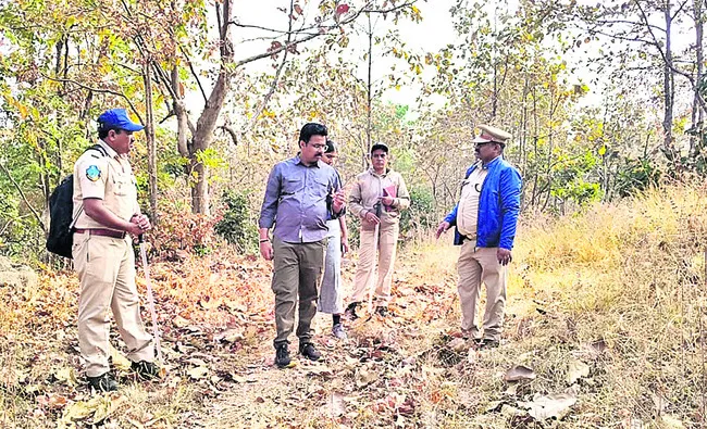 జంతు గణనను పరిశీలించిన డీఎఫ్‌వో