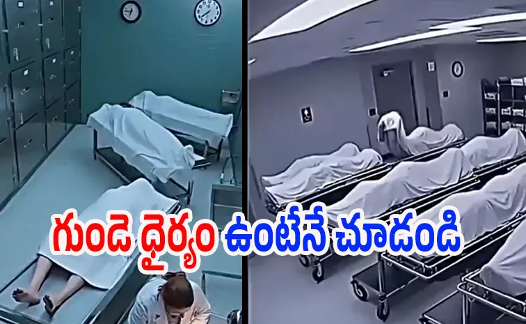 Do you know about Lazarus Sign, check details