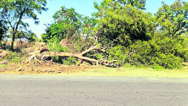 నేడు పెనుకొండలో  ‘అనంత ఆణిముత్యాలు’ 