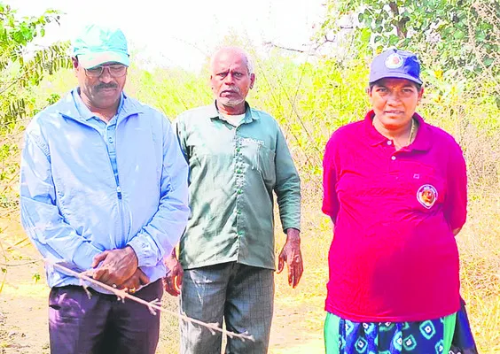 చెట్టును ఢీకొట్టిన ఆటో 