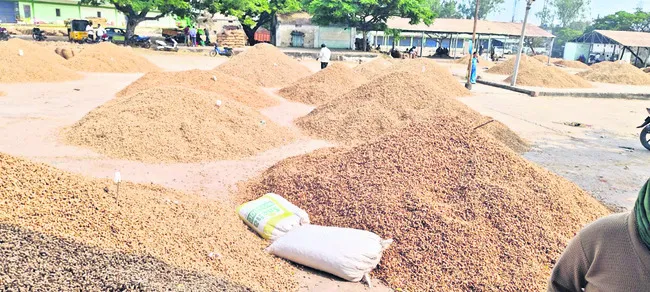 వేరుశనగకు రికార్డు ధర 