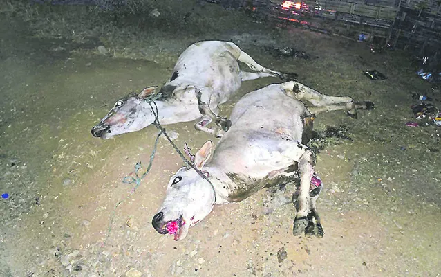 చికిత్స పొందుతూ బాలుడి మృతి 