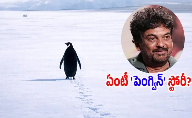 Viral Penguin Story Full Details Telugu