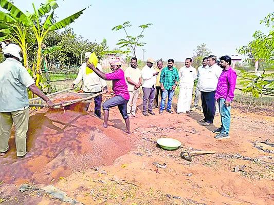 మొక్కల పెంపకానికి సిద్ధం చేయండి 