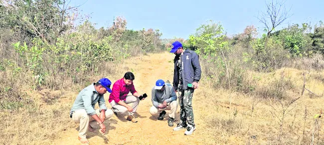 ధర్మారెడ్డి శివారులో చిరుత సంచారం 