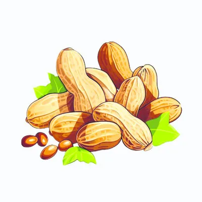 వేరుశనగ @ రూ.9,389 