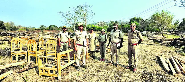 కలప పట్టివేత