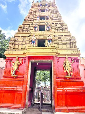 తలనీలాల టెండర్‌కు మోక్షమెన్నడో..?