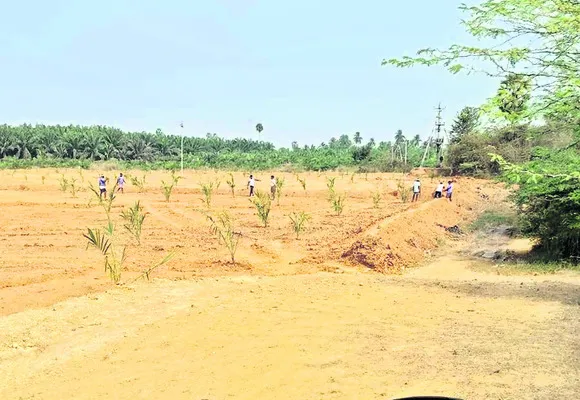 అసైన్డ్‌ భూముల ఆక్రమణ 