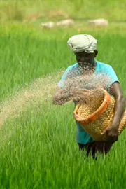 Govt preparing Fertilizer Mission to reduce import dependence