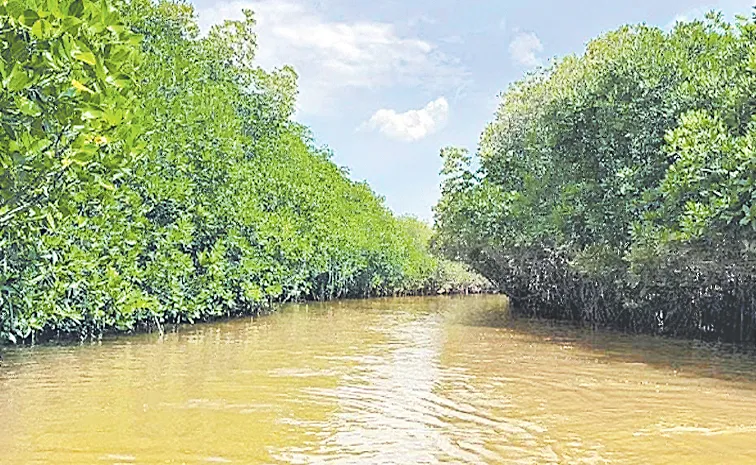 The coastal region is suitable for tourism