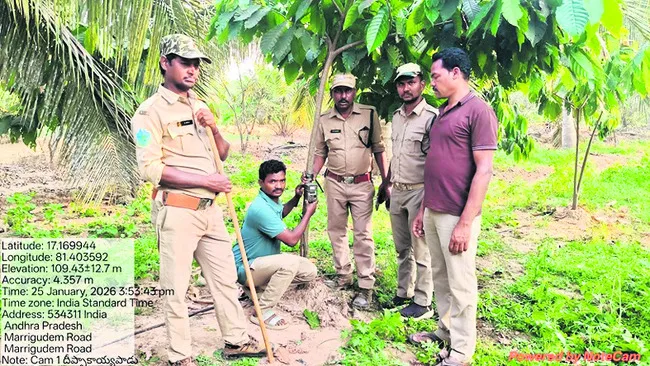 మాటేసి.. మట్టుబెడుతూ.. 
