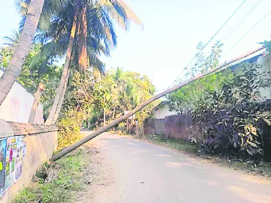 విద్యుత్‌ లైన్‌పై పడిన కొబ్బరి చెట్టు 