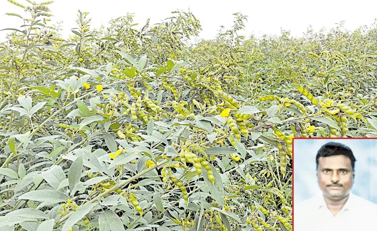 Chandrababu Govt Fails to Supporting Farmers