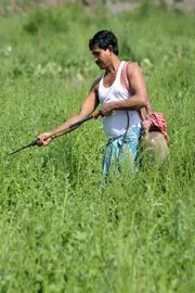 PMO Key Directives for Agriculture in Budget 2026