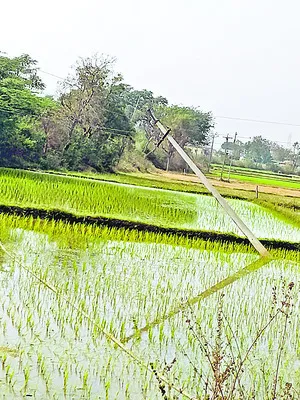 సమస్యలకు వాట్సప్‌తో పరిష్కారం