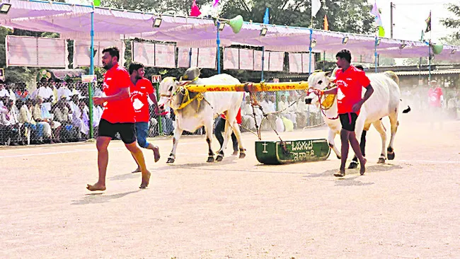 రసవత్తరంగా ఎడ్ల బలప్రదర్శన పోటీలు 