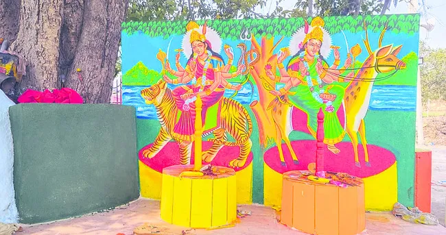 ముస్తాబైన  సమ్మక్క–సారలమ్మ