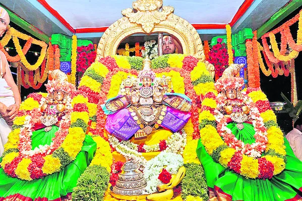 తెప్పపై శ్రీపార్థసారథి విహారం