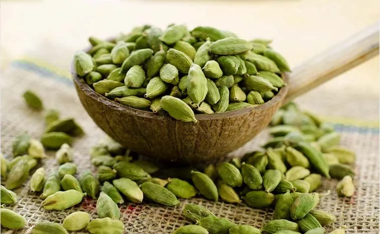 యాలకులతో ఇన్ని ఆరోగ్య ప్రయోజనలా..!?