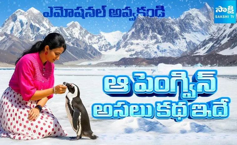 ఆ పెంగ్విన్ మందను వీడడానికి.. కారణాలివే..!