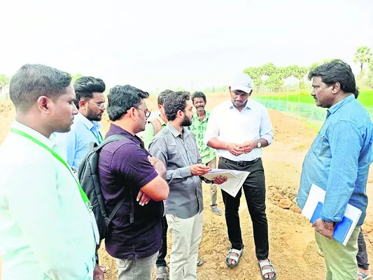 ప్రత్యామ్నాయ పంటలపై దృష్టి పెట్టాలి