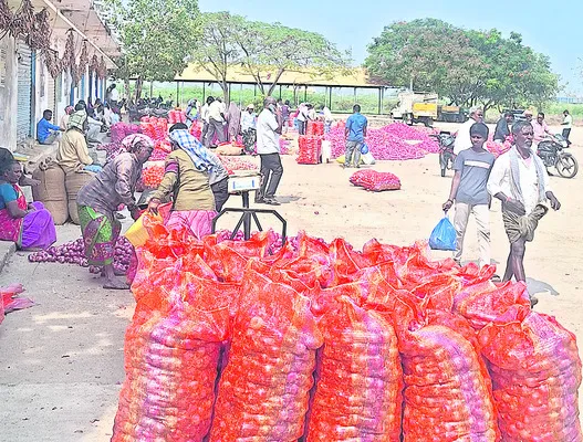 నిలకడగా ఉల్లి ధరలు 