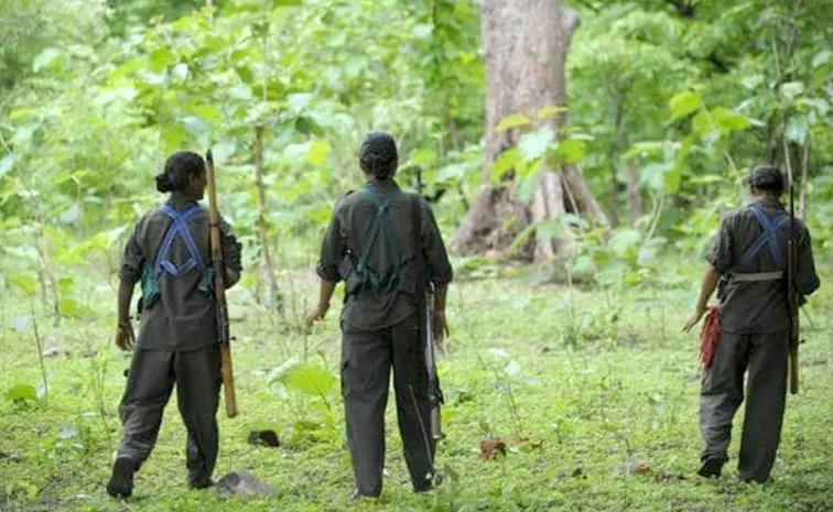 బీజాపూర్‌లో ఎన్‌కౌంటర్‌.. ఇద్దరు మావోలు హతం