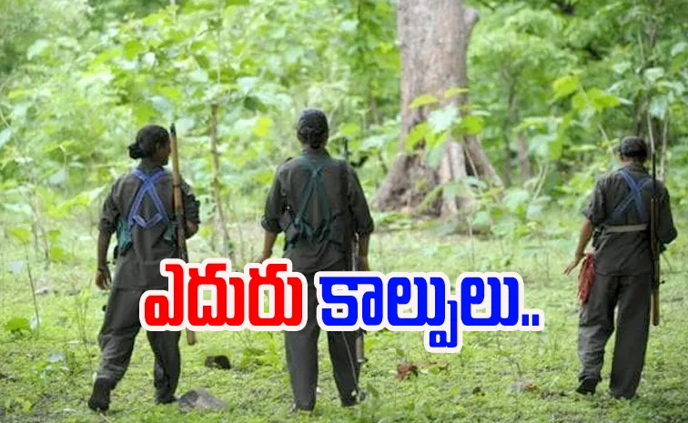 బీజాపూర్‌లో ఎన్‌కౌంటర్‌.. ఇద్దరు మావోలు హతం