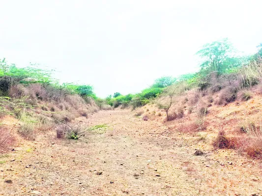 ప్రాజెక్టులపై కనికరిస్తారా !