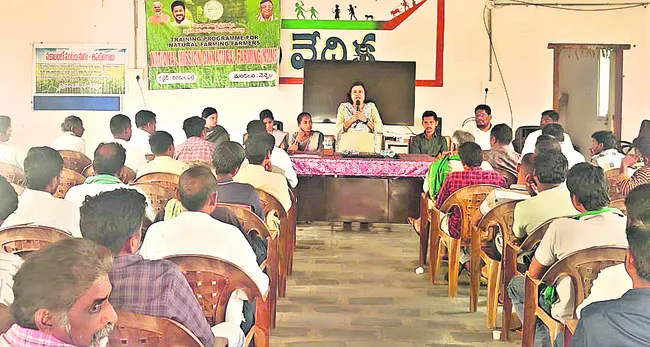 ప్రకృతి వ్యవసాయంతో అధిక దిగుబడులు