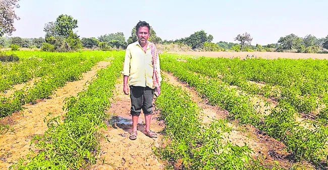 రాయితీ ఇచ్చినారు