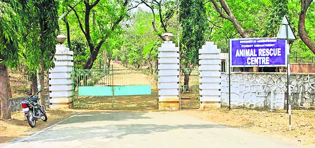 ఏఆర్‌సీ ఖాళీ