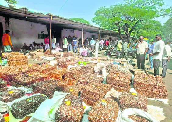 కొత్త పంటతో కళకళ