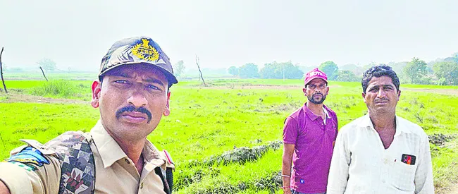 చిరుత సంచారం 