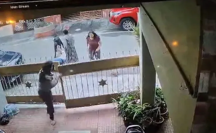 Morning Walk Turns Into Nightmare As Neighbour Dog Mauls Bengaluru Woman