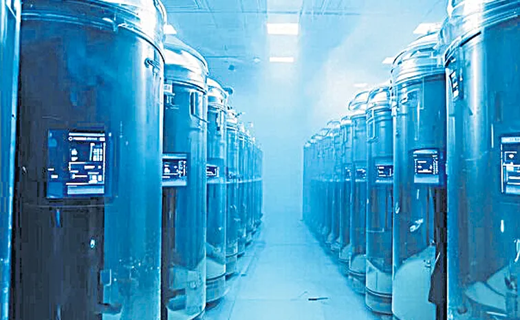 The bodies are preserved in cryogenic chambers