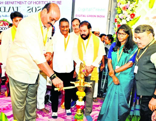 ఉద్యాన పంటలకు ప్రోత్సాహం 