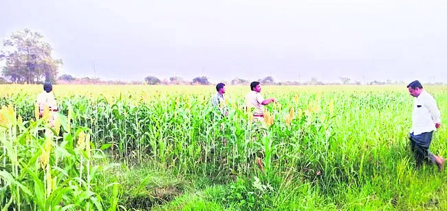 నగలు ధరించి రద్దీ ప్రాంతాలకు వెళ్లొద్దు   
