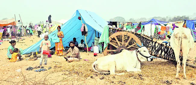 ప్రతీ జాతరకు ఎడ్లబండిలోనే.. 
