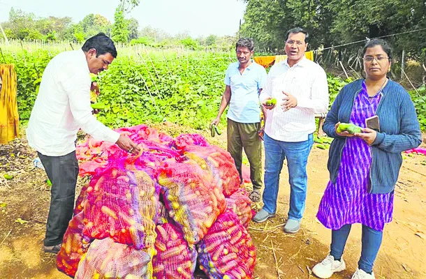 ఉద్యాన పంటలకు ప్రోత్సాహం