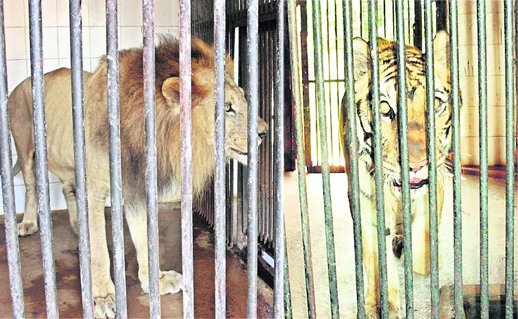 ఏఆర్‌సీ ఖాళీ