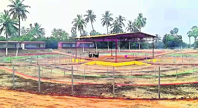 కోడి పందేలకు సన్నద్ధం