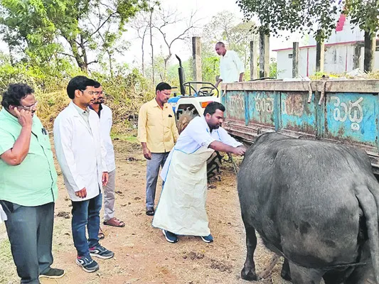 పాడి పరిశ్రమపై ప్రత్యేక శ్రద్ధ అవసరం 