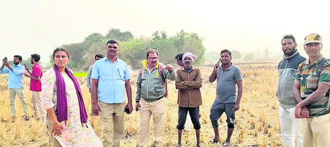 పులి కోసం అన్వేషణ
