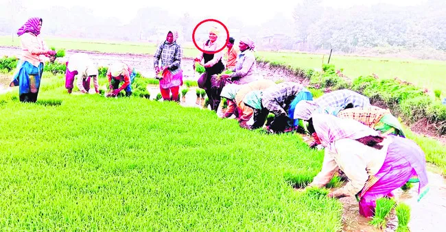 ●హోదా మారినా పని మానలేదు.. 