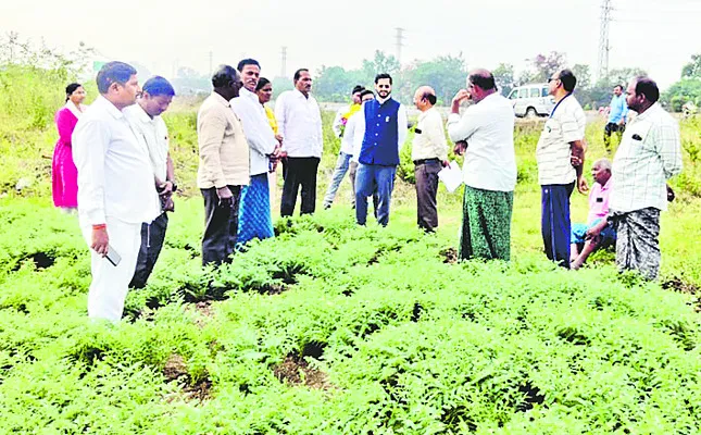 శనగకు మద్దతు ధర ఇచ్చి ప్రభుత్వం కొనాలి