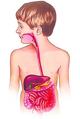 రోగాలూ ఎంతో ఫాస్ట్‌ 