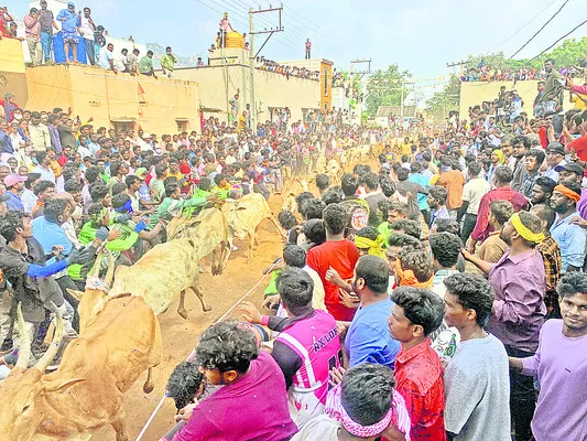 ఉరకలేసిన ఉత్సాహం 