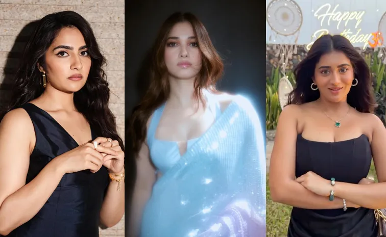 కలర్‌ఫుల్ తమన్నా.. హీరోయిన్ బర్త్ డే సెలబ్రేషన్